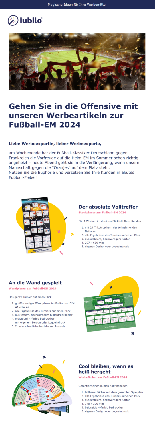 Newsletter-Beispiel Fußball-EM