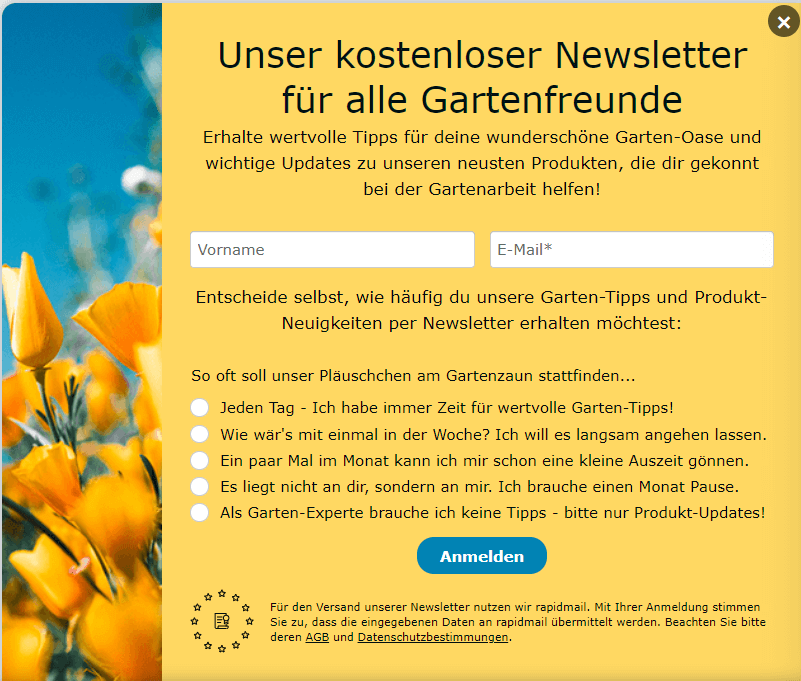 Ideale Newsletter-Versandhäufigkeit im Anmeldeformular abfragen