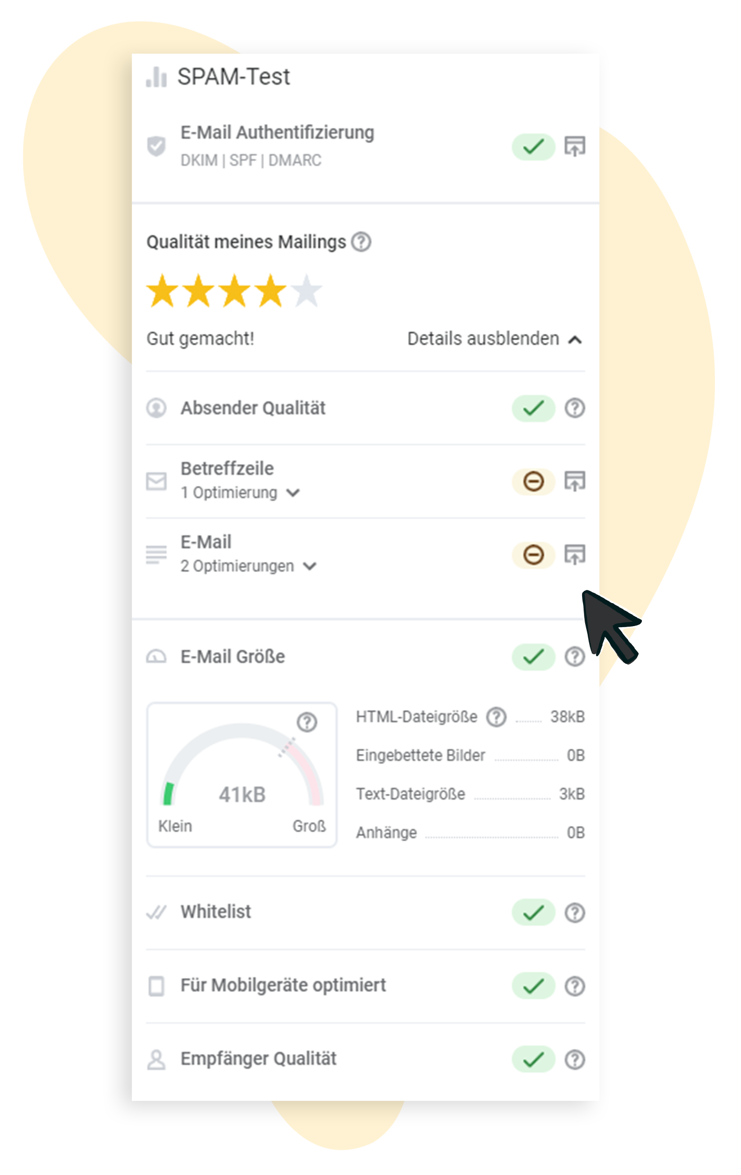 Eine Abbildung des Spam-Tests am Ende der Mailingstrecke: Er hilft bei der Einschätzung des Spam-Risikos Ihres Mailings und gibt Tipps zur Verbesserung