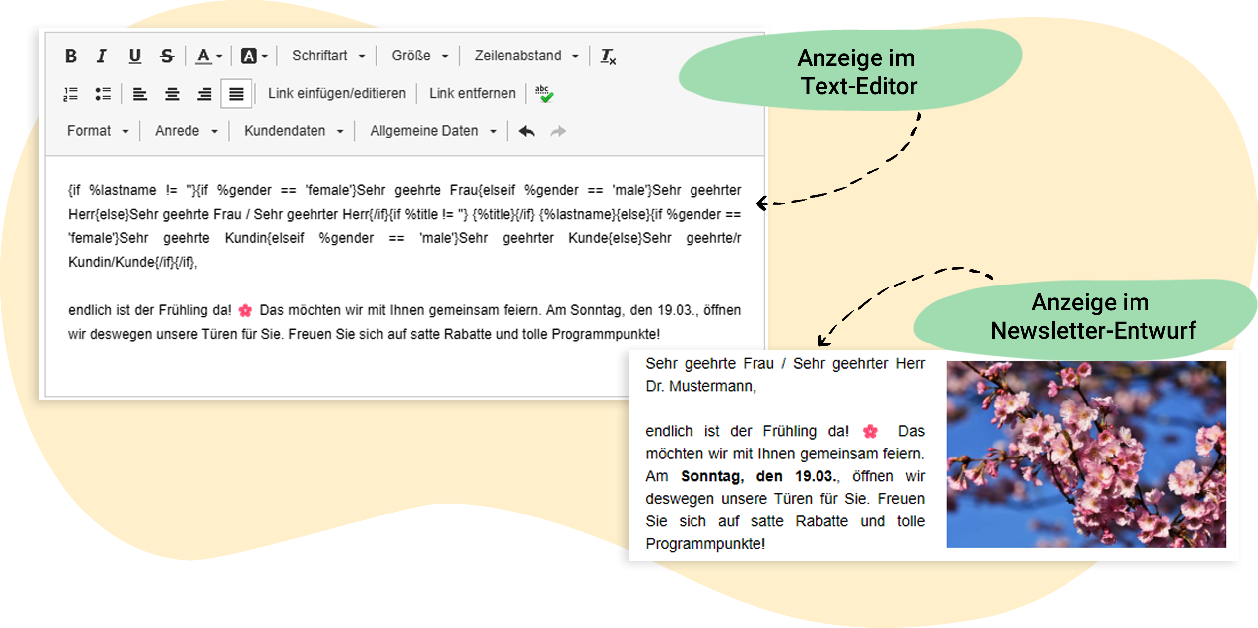 Anzeigeoptionen der personalisierten Anrede im rapidmail Mailing-Entwurf