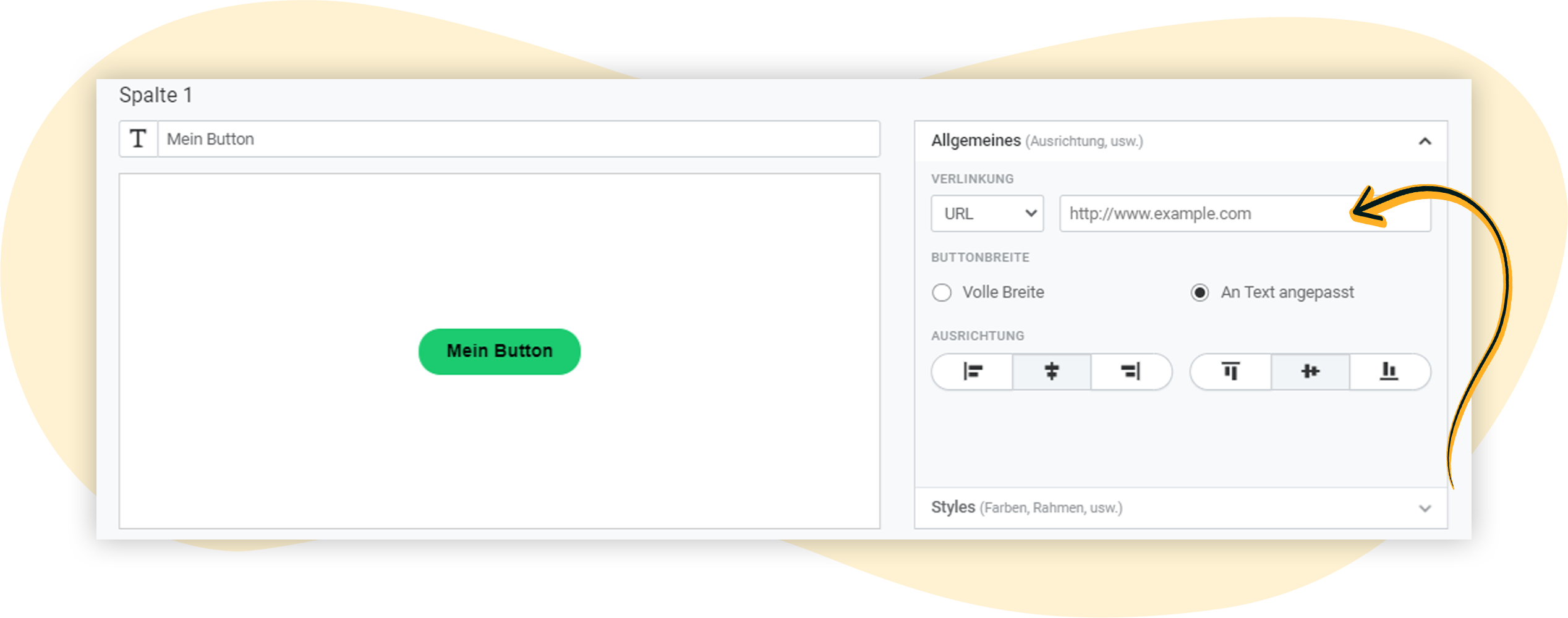 Button bzw. CTA mit rapidmail verlinken