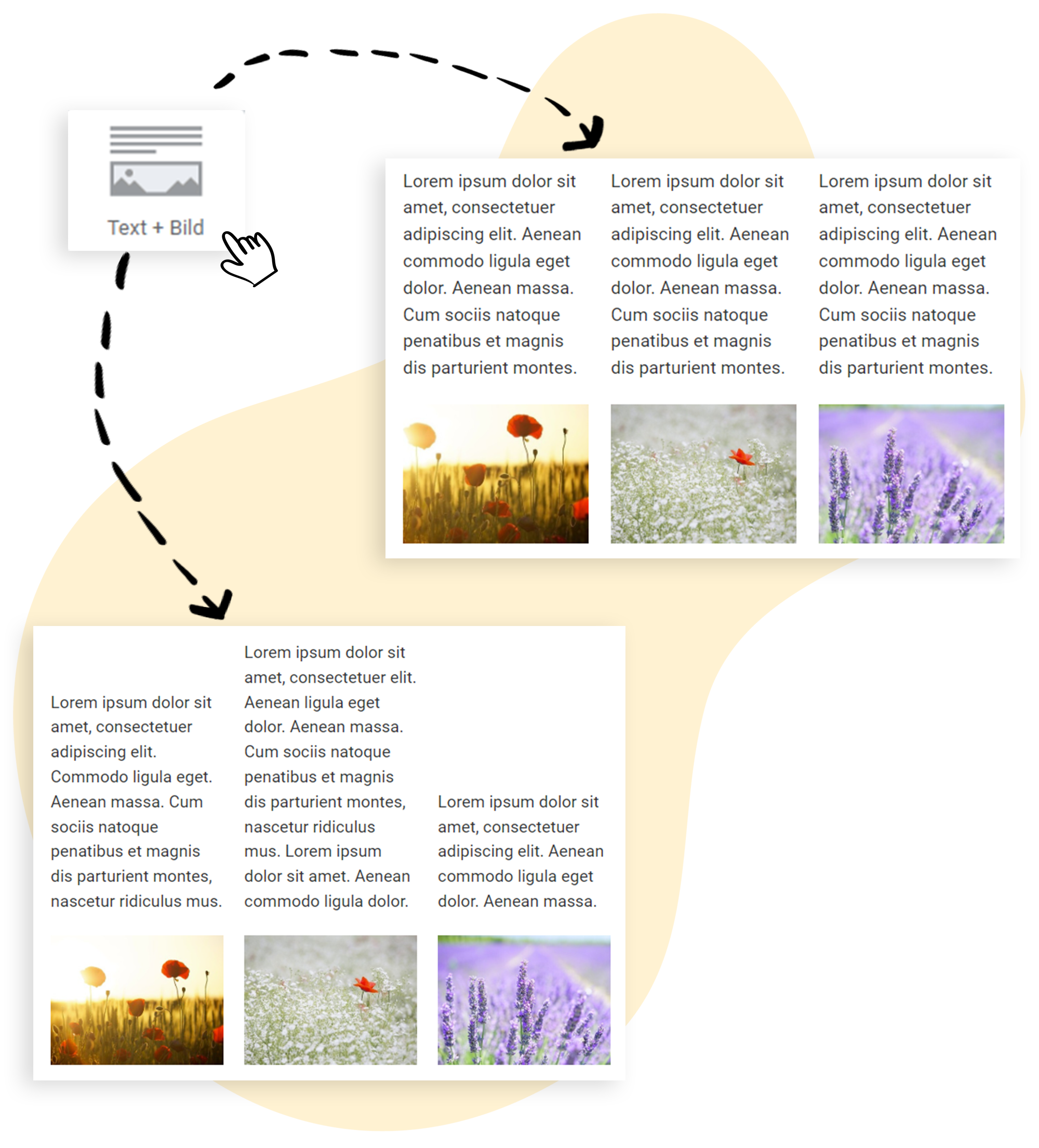 Beispiel: Text oben im Element, Bild unten im Element