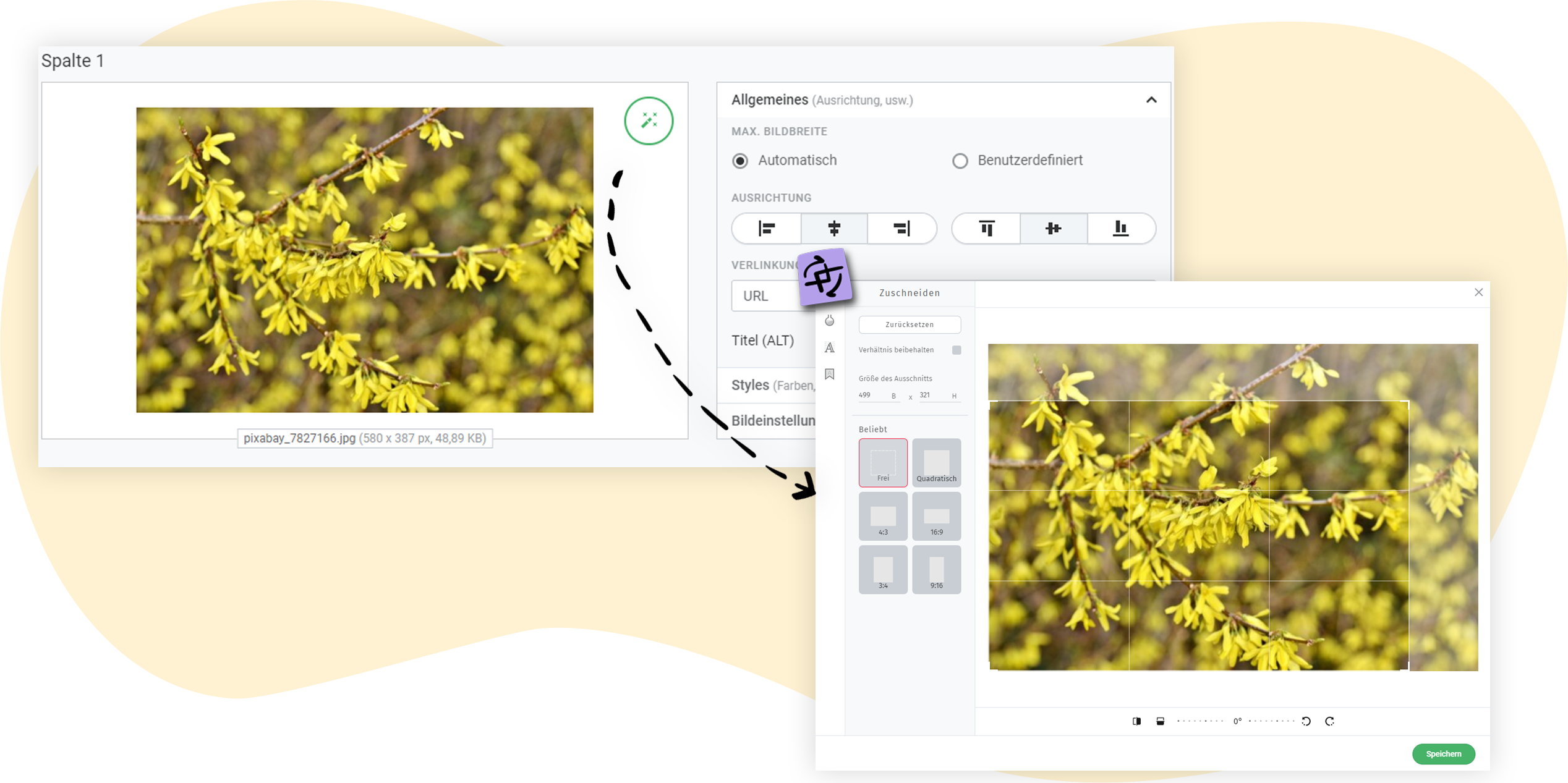 rapidmail Bild-Editor