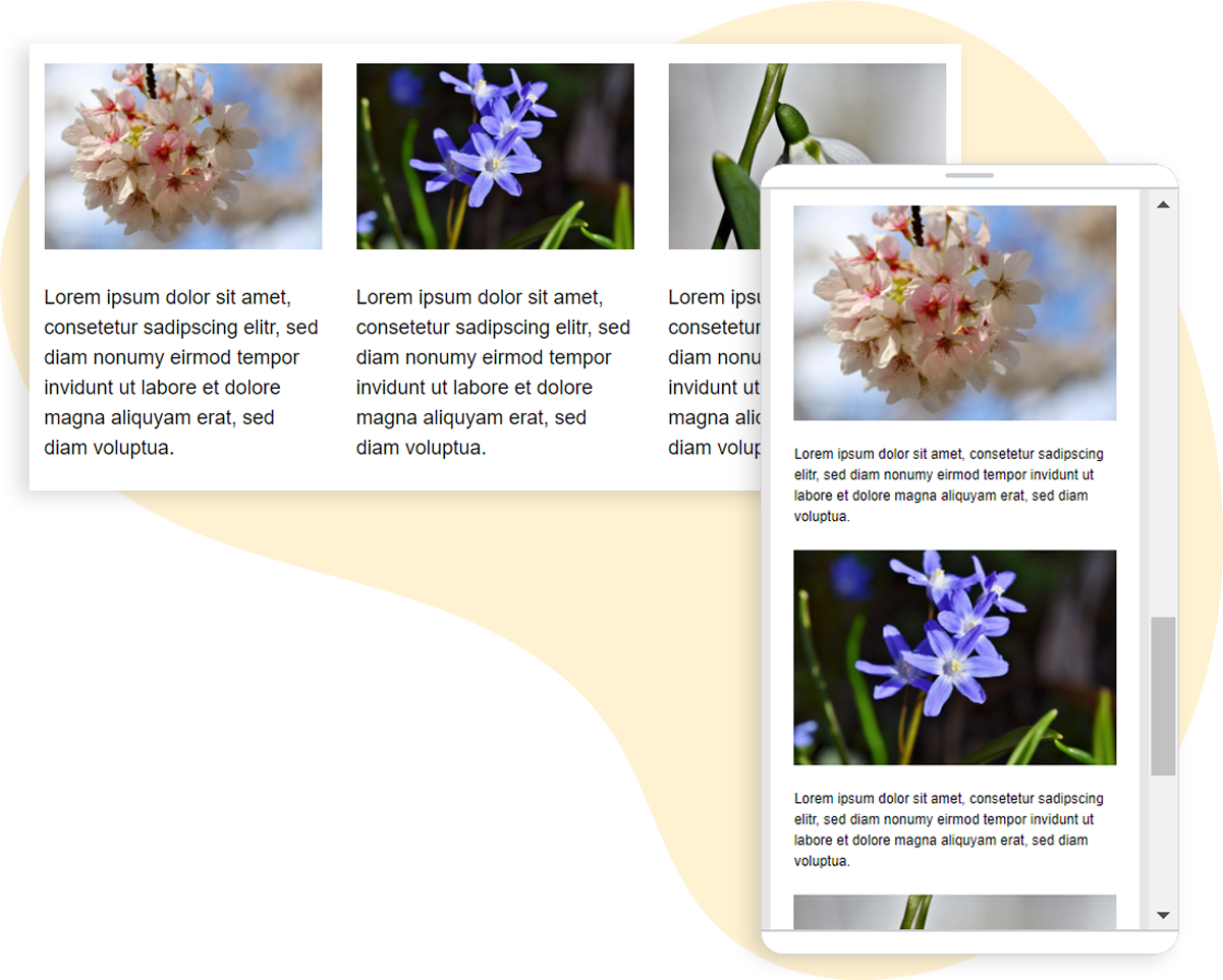 Desktop versus Smartphone-Ansicht eines Newsletters