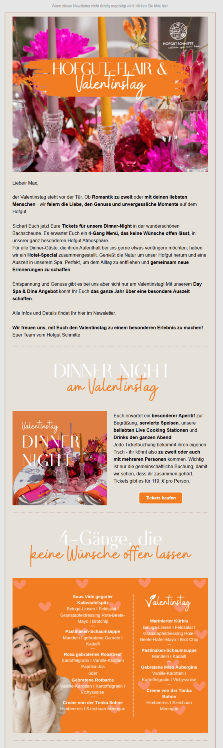 Newsletter-Beispiel Hofgut Schmitte