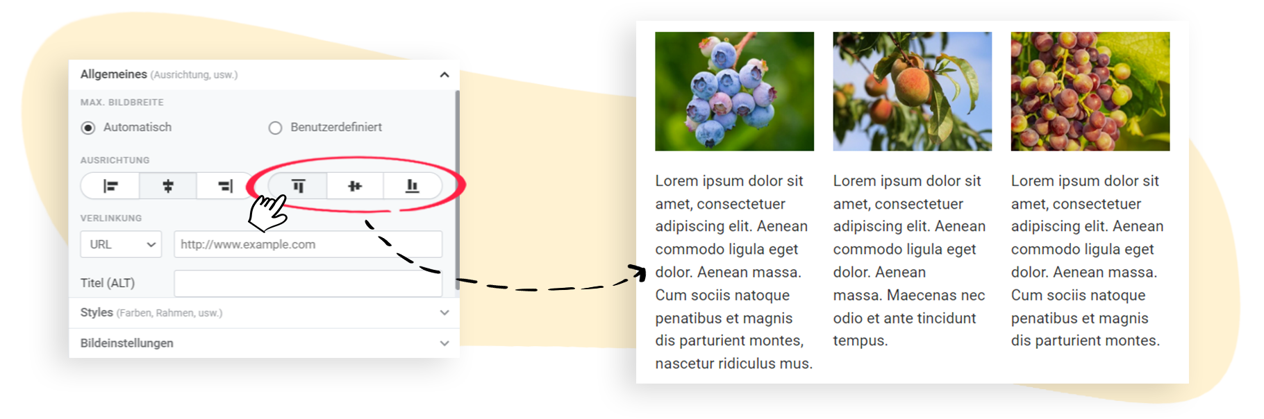 Beispiel bündiger Ausrichtung, wenn Bildausrichtung oben ist bei gleich groÃen Bildern und unterschiedlich langem Text